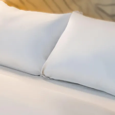 Bordeaux Aeroport Hotel Merignac (Gironde)